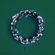 Гирлянда светодиодная "Роса" 50м 500LED бел. IP20 230В с контроллером провод зел. Neon-Night 303-285