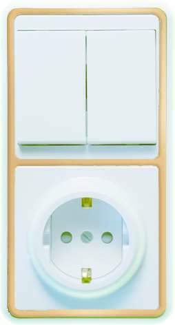 Блок БКВР-035 Бэлла (2-кл. выкл. + евророзетка с защ. шторками) зол. Кунцево 5836