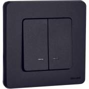 Механизм выключателя 2-кл. Inspiria 10А IP20 250В 10AX с подсветкой / индикацией антрацит Leg 673633