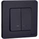 Механизм выключателя 2-кл. Inspiria 10А IP20 250В 10AX с подсветкой / индикацией антрацит Leg 673633