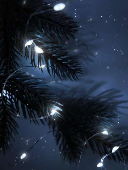 Гирлянда DC-G05-20WS2 20LED 2xCR2032 (в компл.) бел. (уп.2шт) ФАZА 5048010