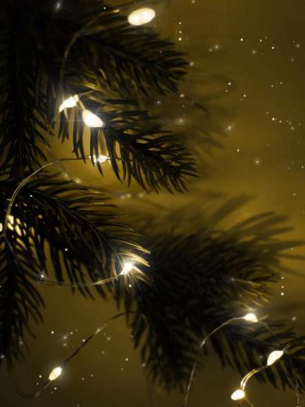 Гирлянда DC-G05-20YS2 20LED 2xCR2032(в компл.) желт. (уп.2шт) ФАZА 5047976