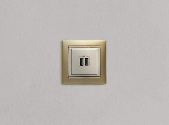 Розетка USB 2-м СП Valena сл. кость Leg 774170